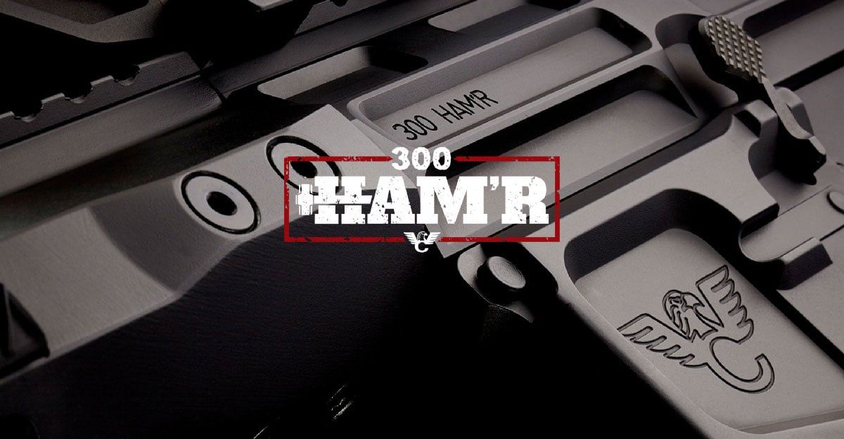 Wilson Combat Unleashes Another HAM'R - 300 HAM'R