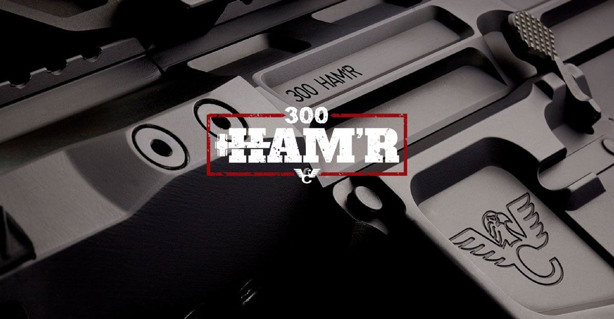 Wilson Combat Unleashes Another HAM'R - 300 HAM'R 